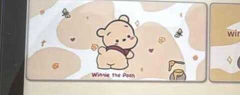 Daisy Preorder Deposit Only